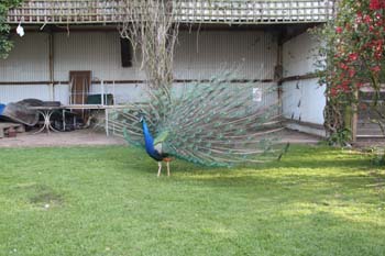 20130506 22